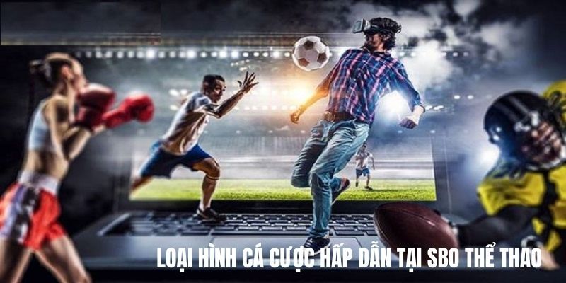 Tham gia cá cược bóng đá với tỷ lệ kèo chất lượng